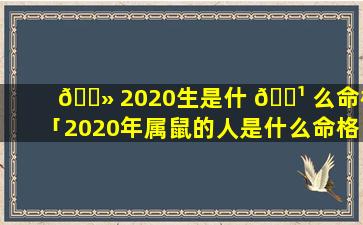 🌻 2020生是什 🌹 么命格「2020年属鼠的人是什么命格」